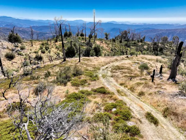 11111 Lower Cressman Road, Shaver Lake, CA 93664