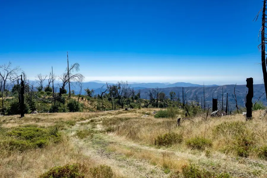11111 Lower Cressman Road, Shaver Lake, CA 93664 - #3