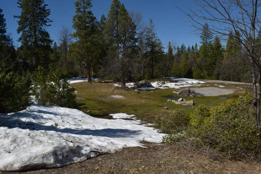 42368 Cook Cabin Lane, Shaver Lake, CA 93664 - #2