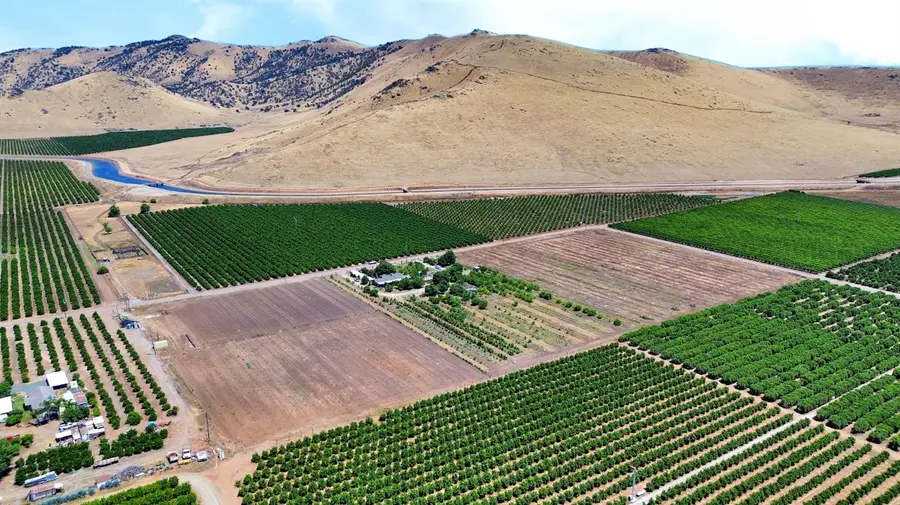 40921 Road 150, Orosi, CA 93647 - #3