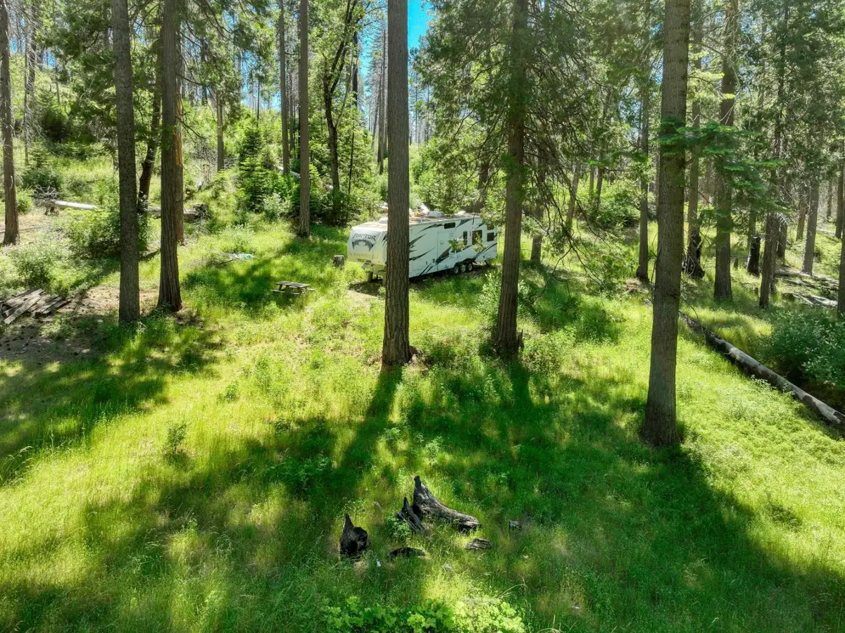 12345 Lower Cressman Road #CA, Shaver Lake, CA 93664 - #1
