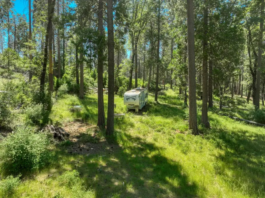 12345 Lower Cressman Road #CA, Shaver Lake, CA 93664 - #2