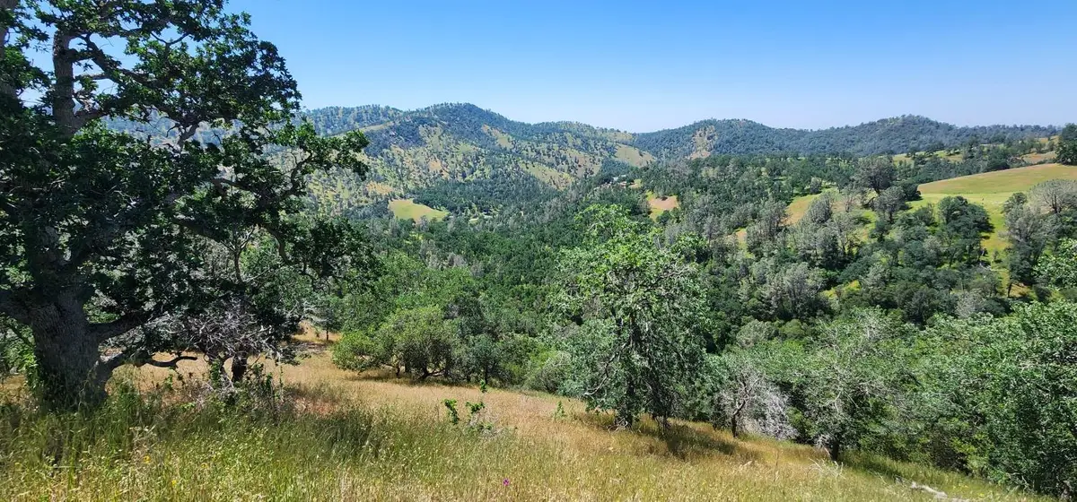 1 Lazy L Summit Lane, Coarsegold, CA 93614 - #1