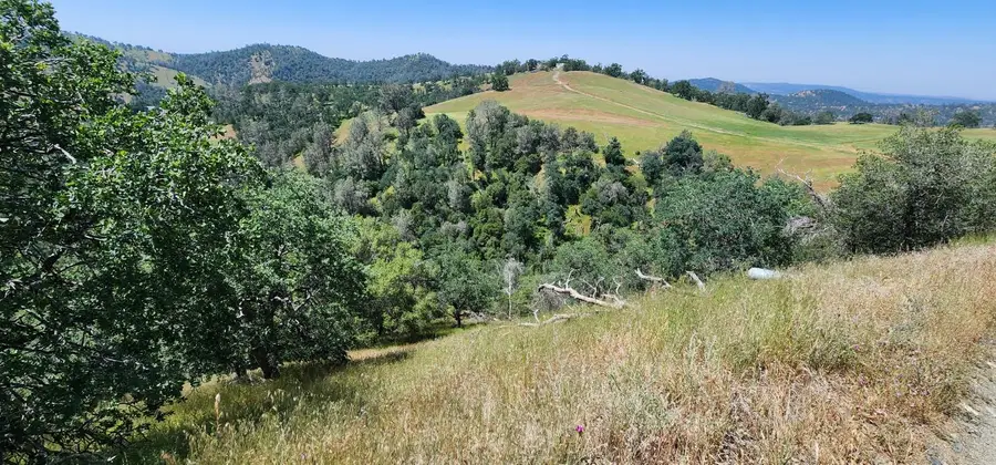 1 Lazy L Summit Lane, Coarsegold, CA 93614 - #3