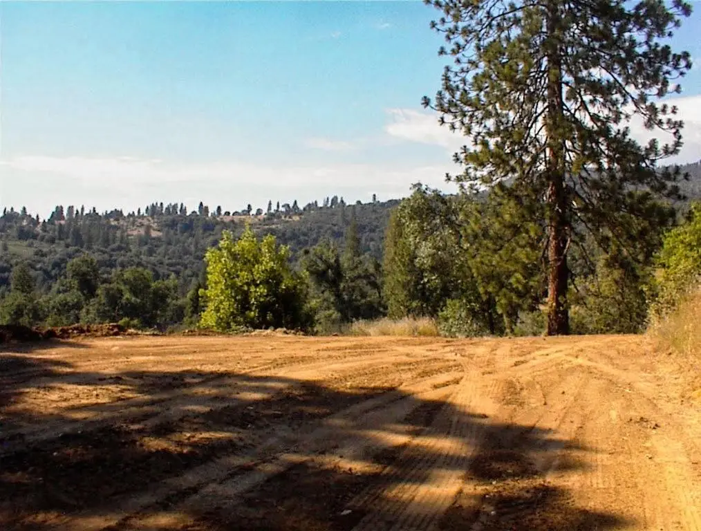 53333 Hwy 245, Miramonte, CA 93641 - #1