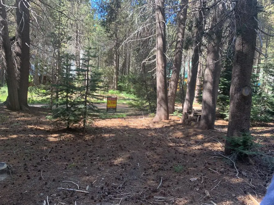 3 N Redtop Rd, Bass Lake, CA 93604 - #2