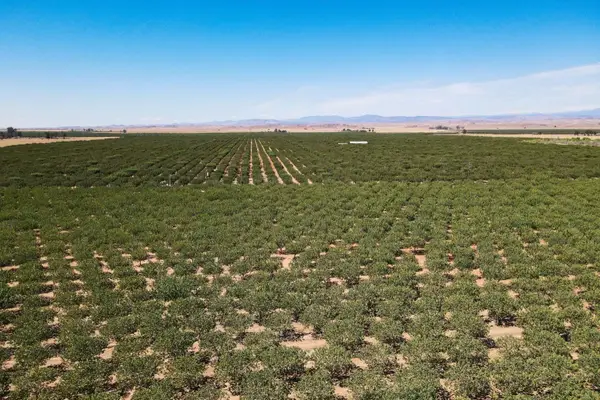 5529 S Baxter Road, Legrand, CA 95333