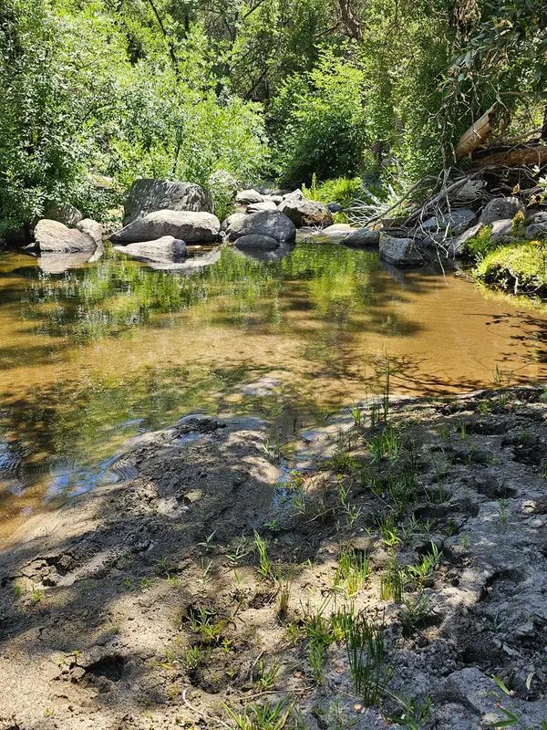 0 Rush Creek Road, Piedra, CA 93726