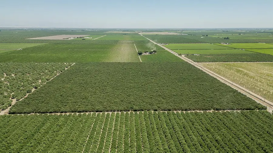 25479 Avenue 8 1/2, Madera, CA 93637 - #3