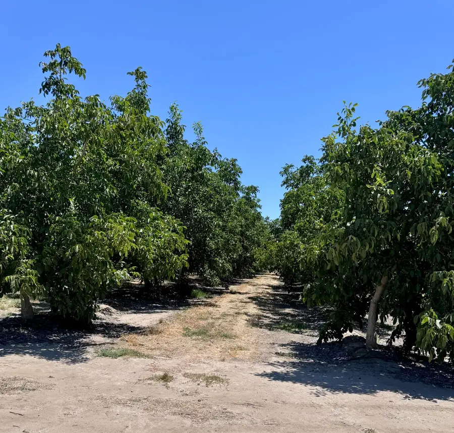 21862 Avenue 12, Madera, CA 93637 - #3