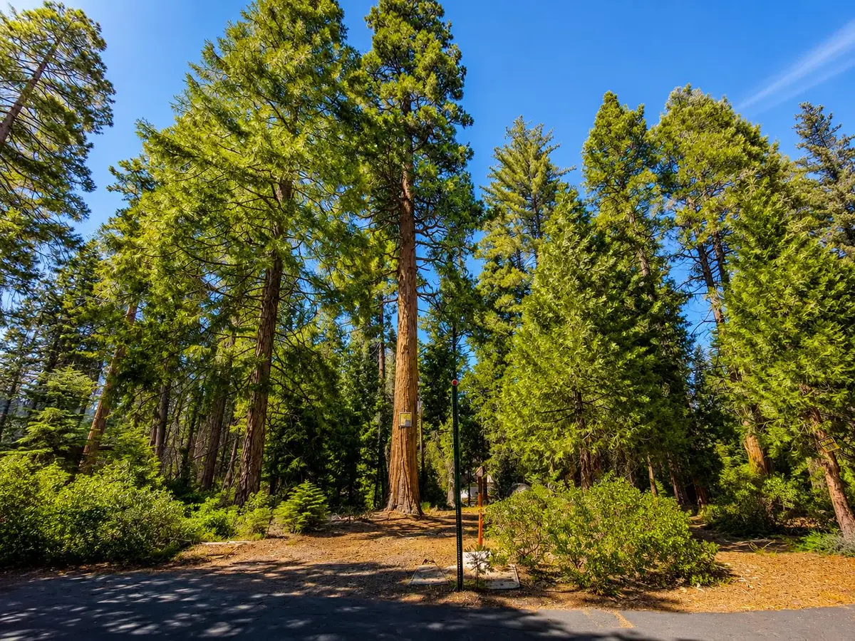 42185 Smoke Tree Lane, Shaver Lake, CA 93664 - #1