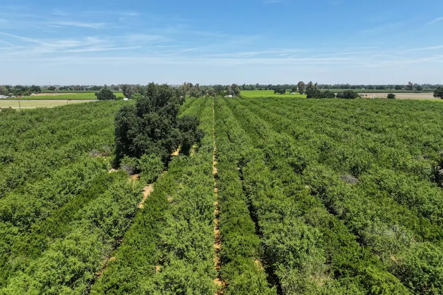 9031 21st Avenue, Lemoore, CA 93245 - #2
