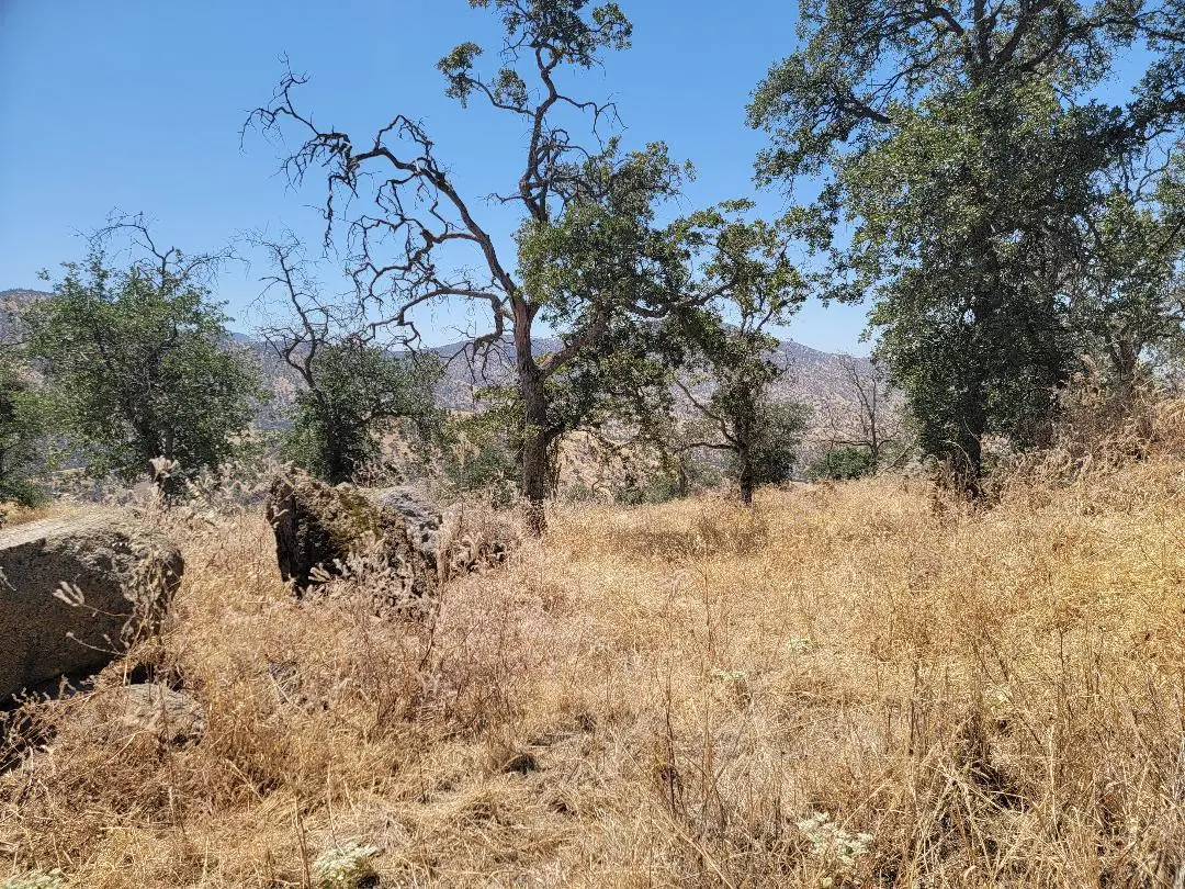 0 Arrowhead Lane, Yokuts Valley, CA 93675 - #1
