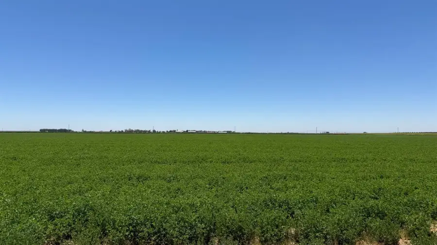 100 American, Kerman, CA 93630 - #2