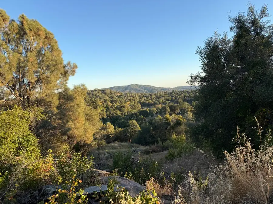 32289 Mountain Lane, North Fork, CA 93643 - #3