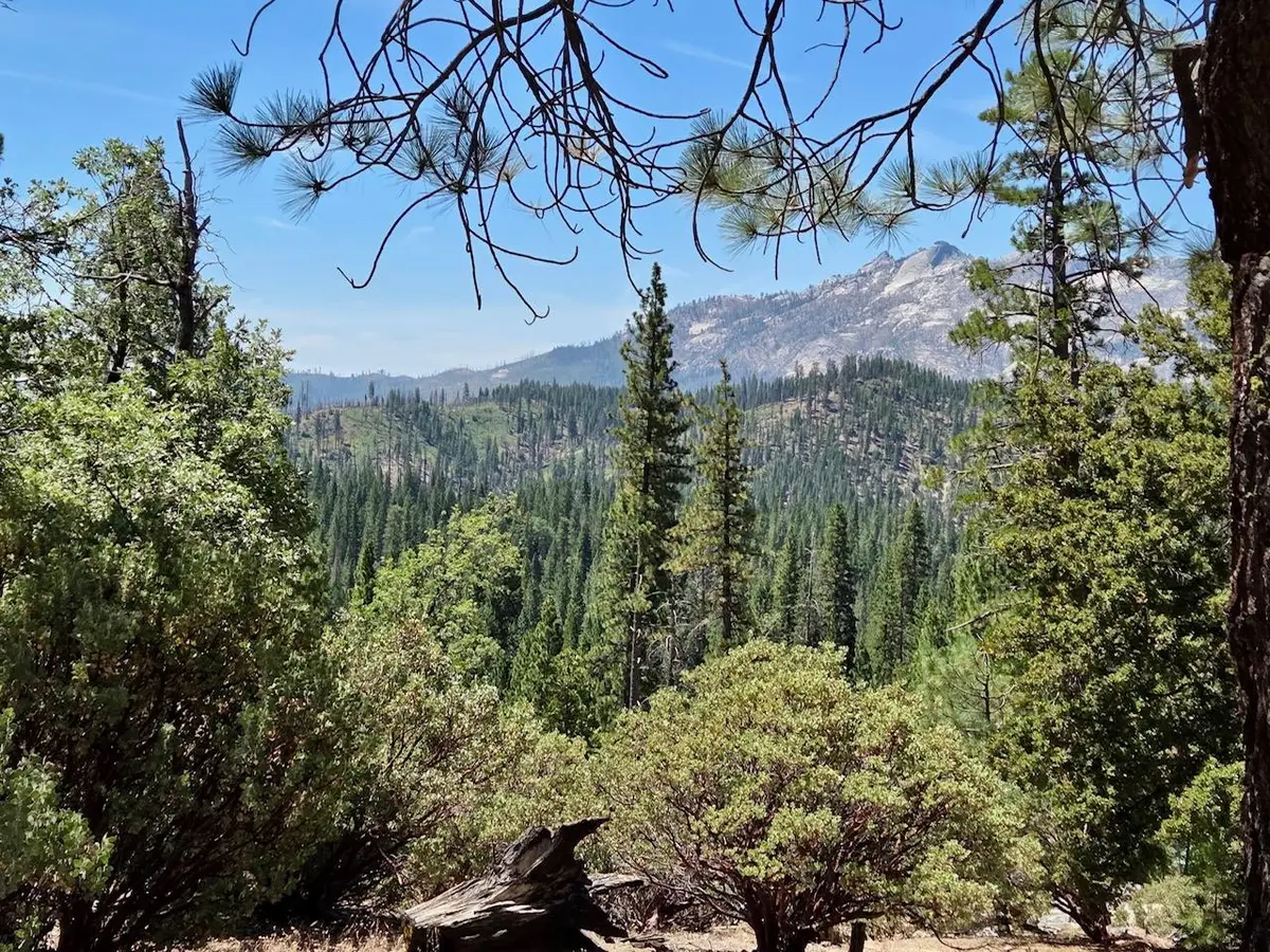 167 Pine Cone Path, North Fork, CA 93643 - #1