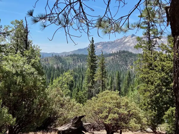 167 Pine Cone Path, North Fork, CA 93643