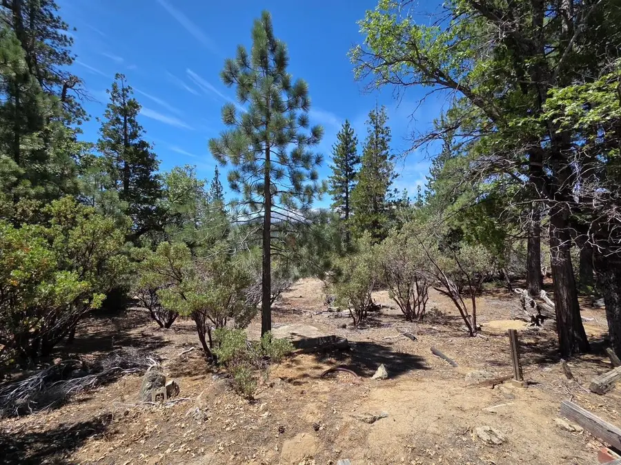 167 Pine Cone Path, North Fork, CA 93643 - #2
