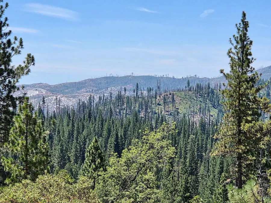 167 Pine Cone Path, North Fork, CA 93643 - #3
