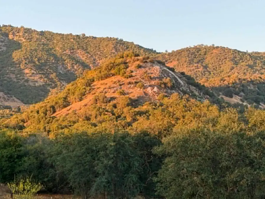 39950 Millwood Road, Dunlap, CA 93621 - #2