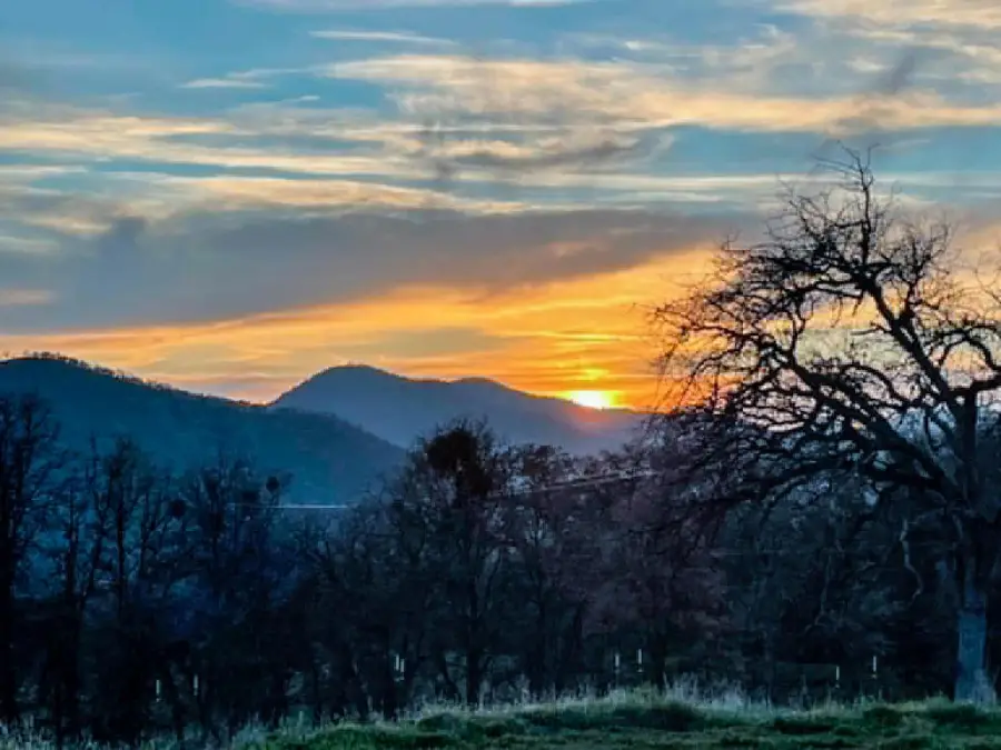39950 Millwood Road, Dunlap, CA 93621 - #3