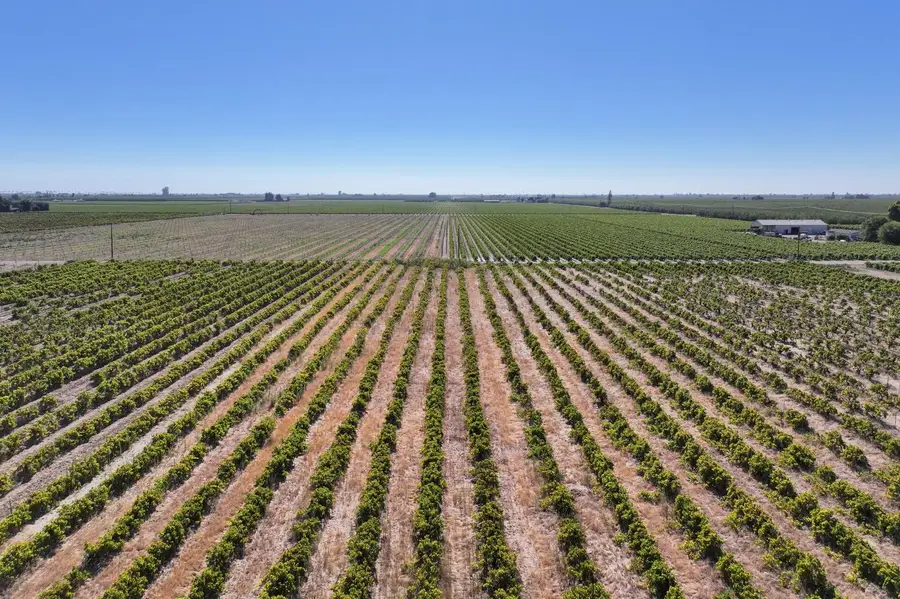 1287 N Trinity Avenue, Kerman, CA 93630 - #2