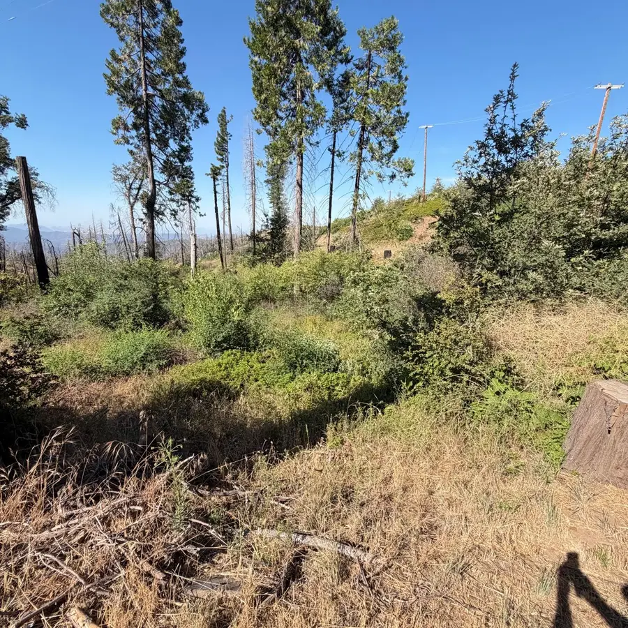 36070 Lower Cressman Road, Shaver Lake, CA 93664 - #2