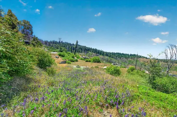 39588 Woodland Road, Shaver Lake, CA 93664