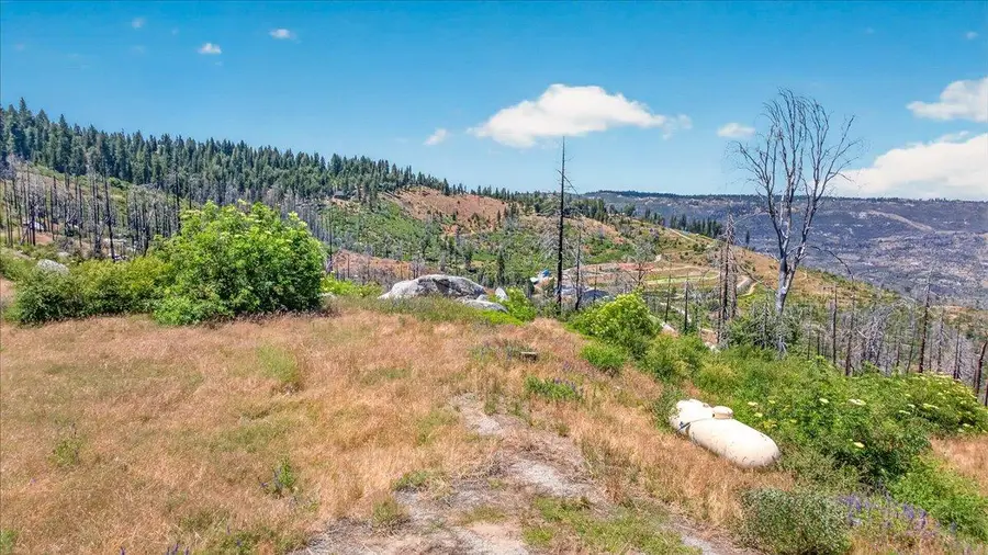 39588 Woodland Road, Shaver Lake, CA 93664 - #2