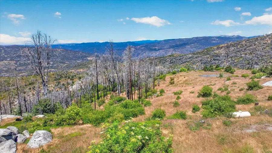 39588 Woodland Road, Shaver Lake, CA 93664 - #3