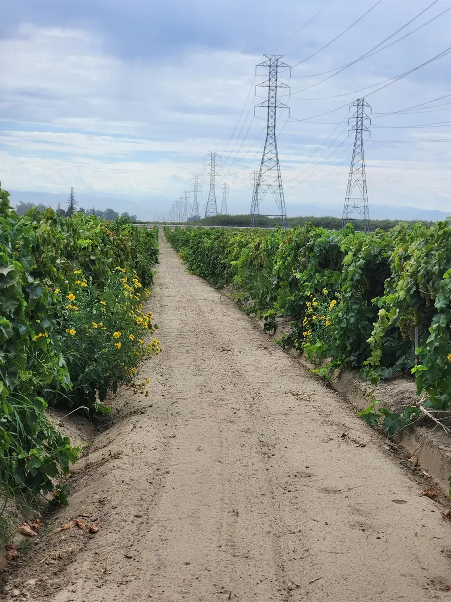 0 S Elm Avenue, Fresno, CA 93706 - #3