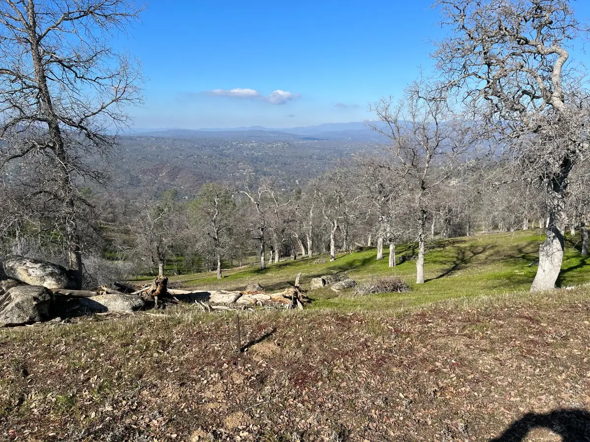41173 Lilley Mountain Drive, Coarsegold, CA 93614 - #1