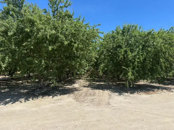 1 S. Chestnut & E. Mountain View, Selma, CA 93662