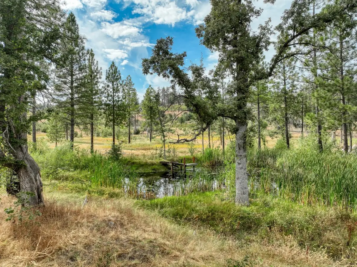 34344 Shaver Springs Road, Auberry, CA 93602 - #1