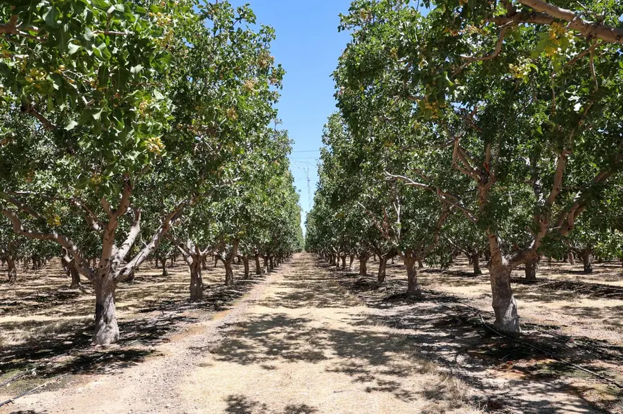 0 Derrick Avenue, Cantua Creek, CA 93608 - #3