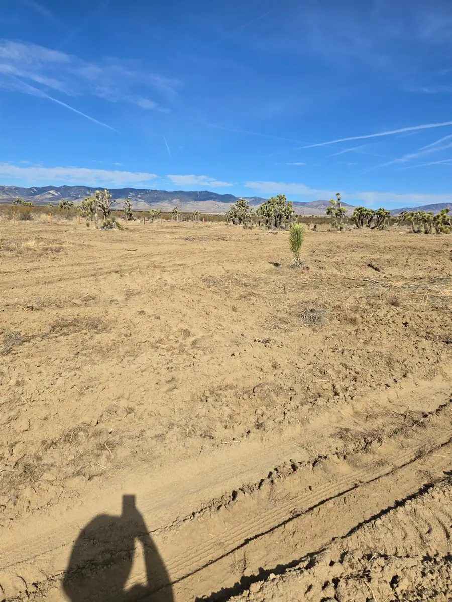 1000 Gaskell Road, Rosamond, CA 93560 - #3