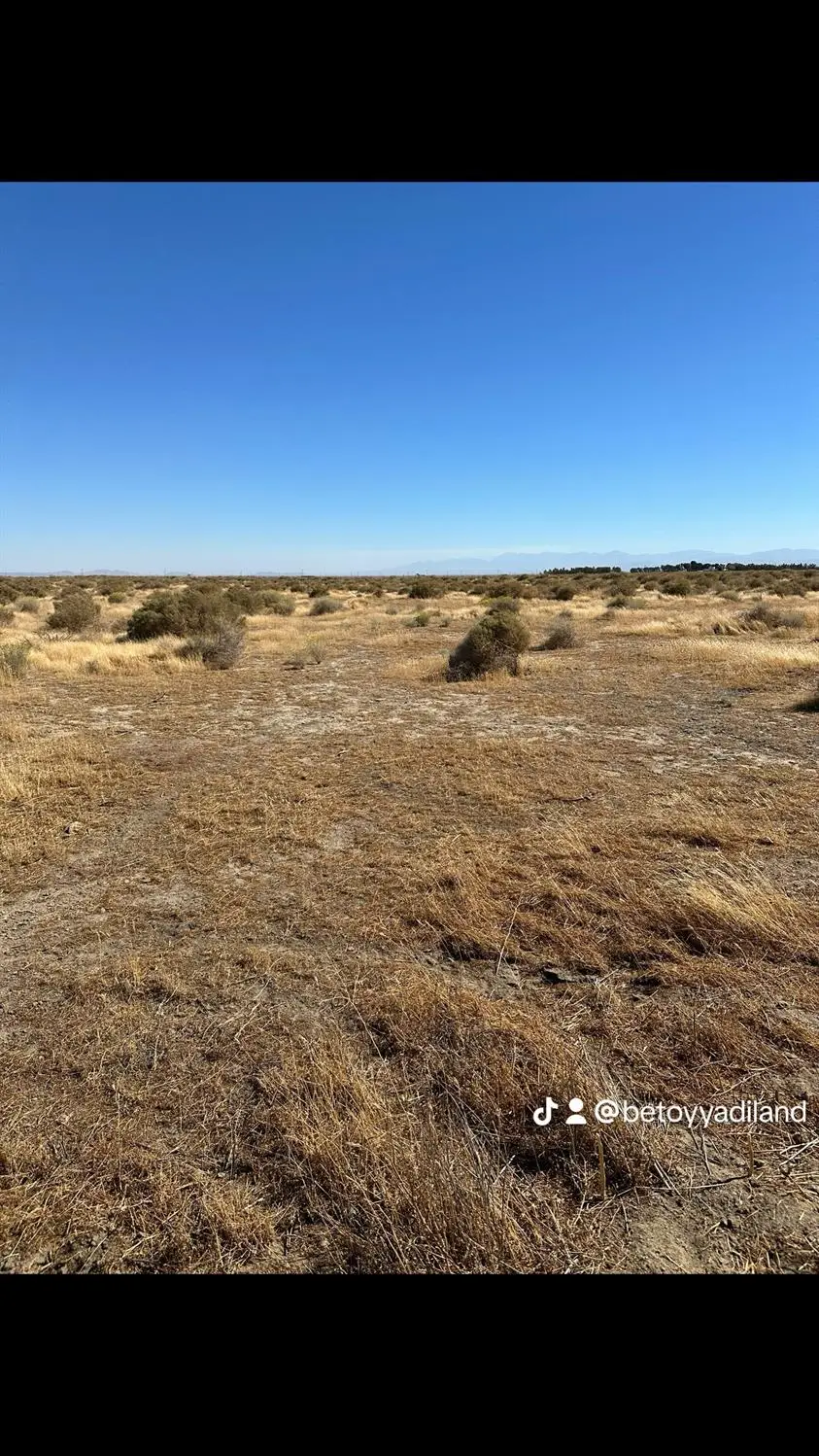 5615 W Rosamond Boulevard W, Rosamond, CA 93560 - #1