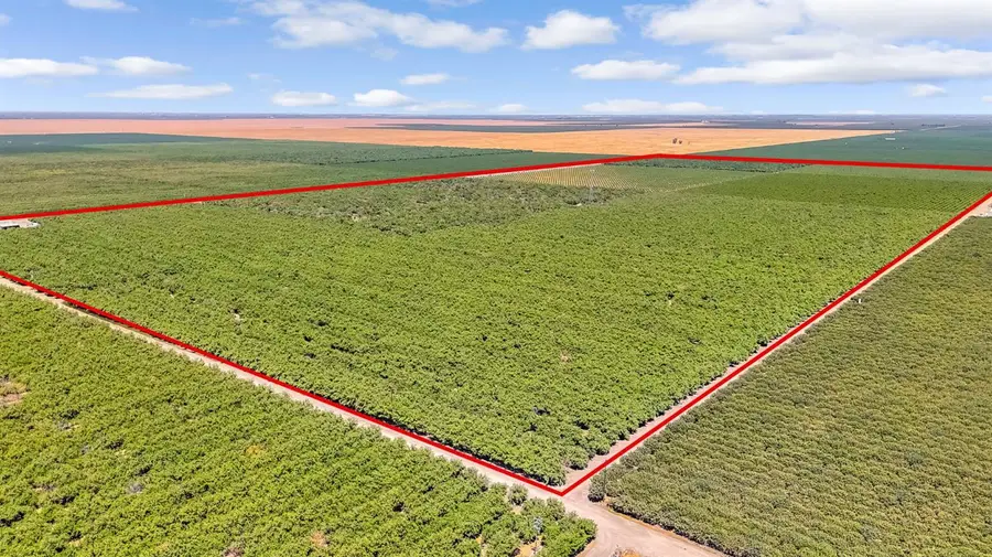 15110 Avenue 7, Madera, CA 93637 - #2