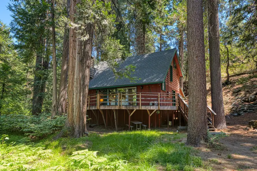 42155 Hanging Branch Road, Shaver Lake, CA 93664 - #3