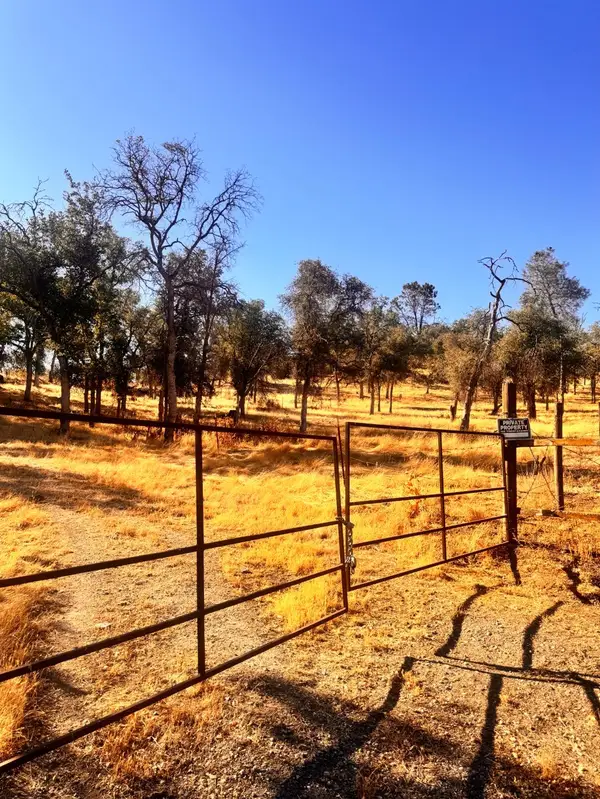 25388 White Thorne Road, Clovis, CA 93619