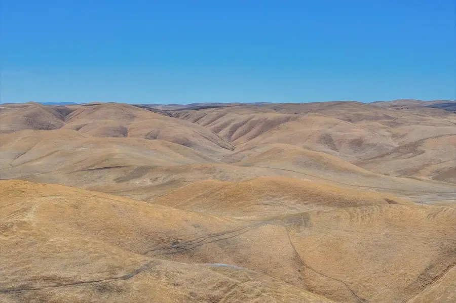 0 N. Of Bittersweet Valley Road, Lost Hills, CA 93249 - #3