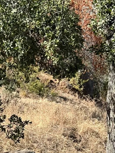 0 Thunderhill Lane, Yokuts Valley, CA 93675 - #3