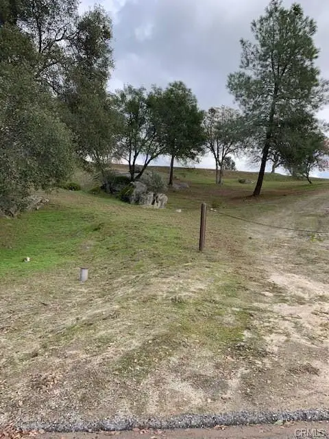 29010 Long Hollow Ct N N, Coarsegold, CA 93614 - #2
