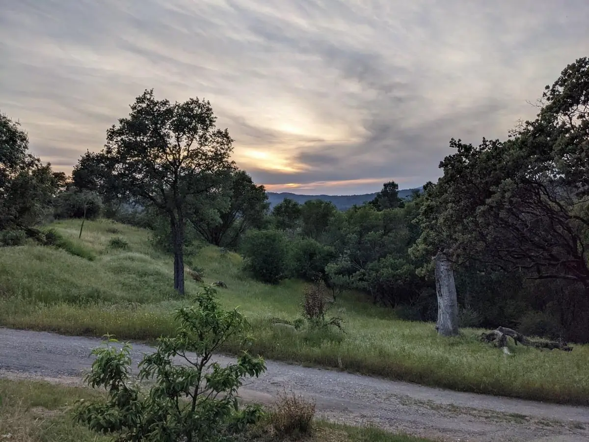 3279 Quail Run Road, Mariposa, CA 95338 - #1