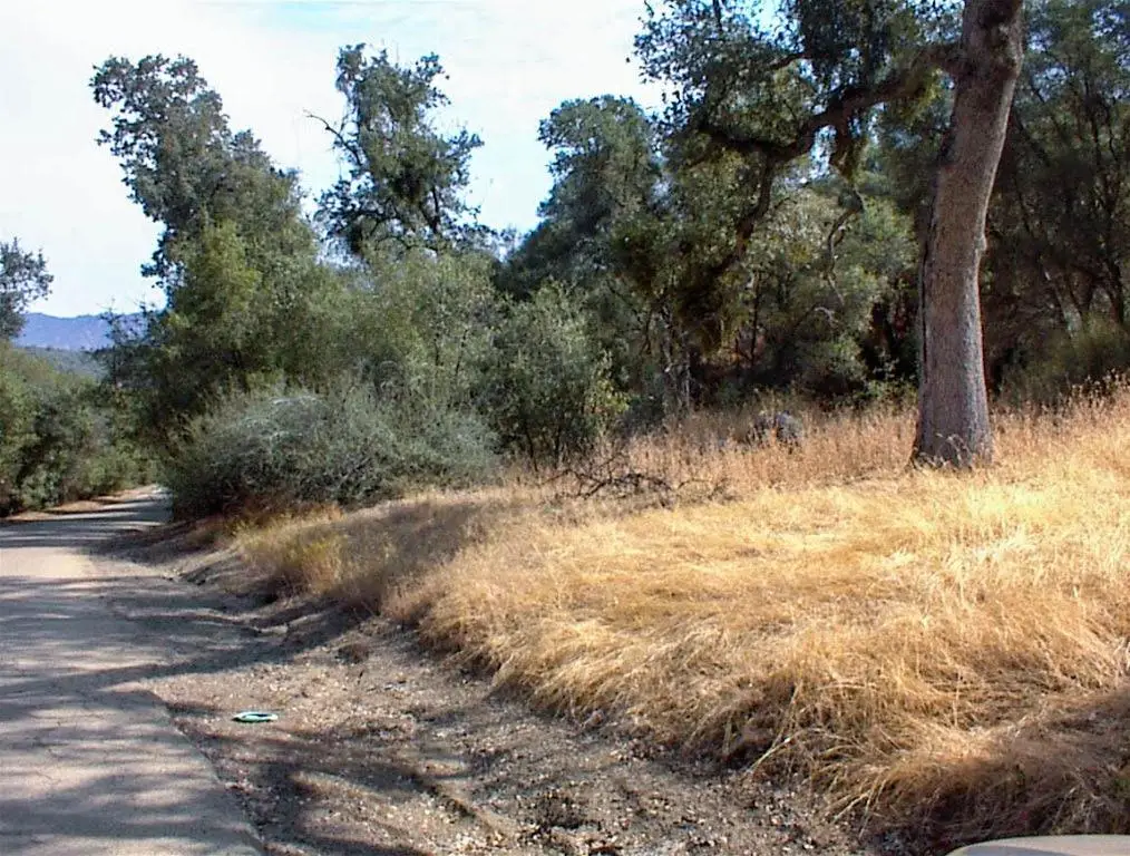 562 Daffodil Lane, Yokuts Valley, CA 93675 - #1