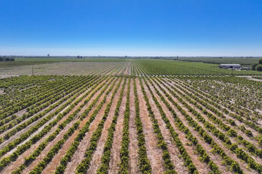 1128 N Trinity Avenue, Kerman, CA 93630 - #3