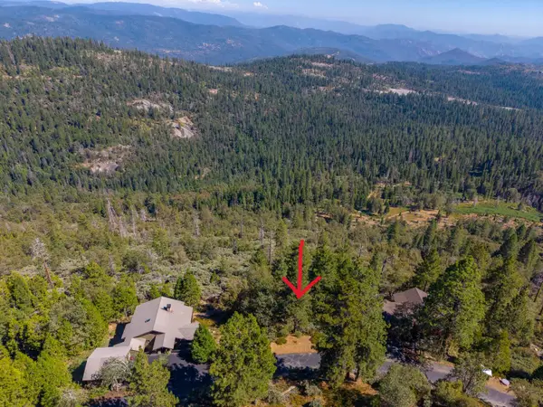 42595 Canyon Vista Lane, Shaver Lake, CA 93664