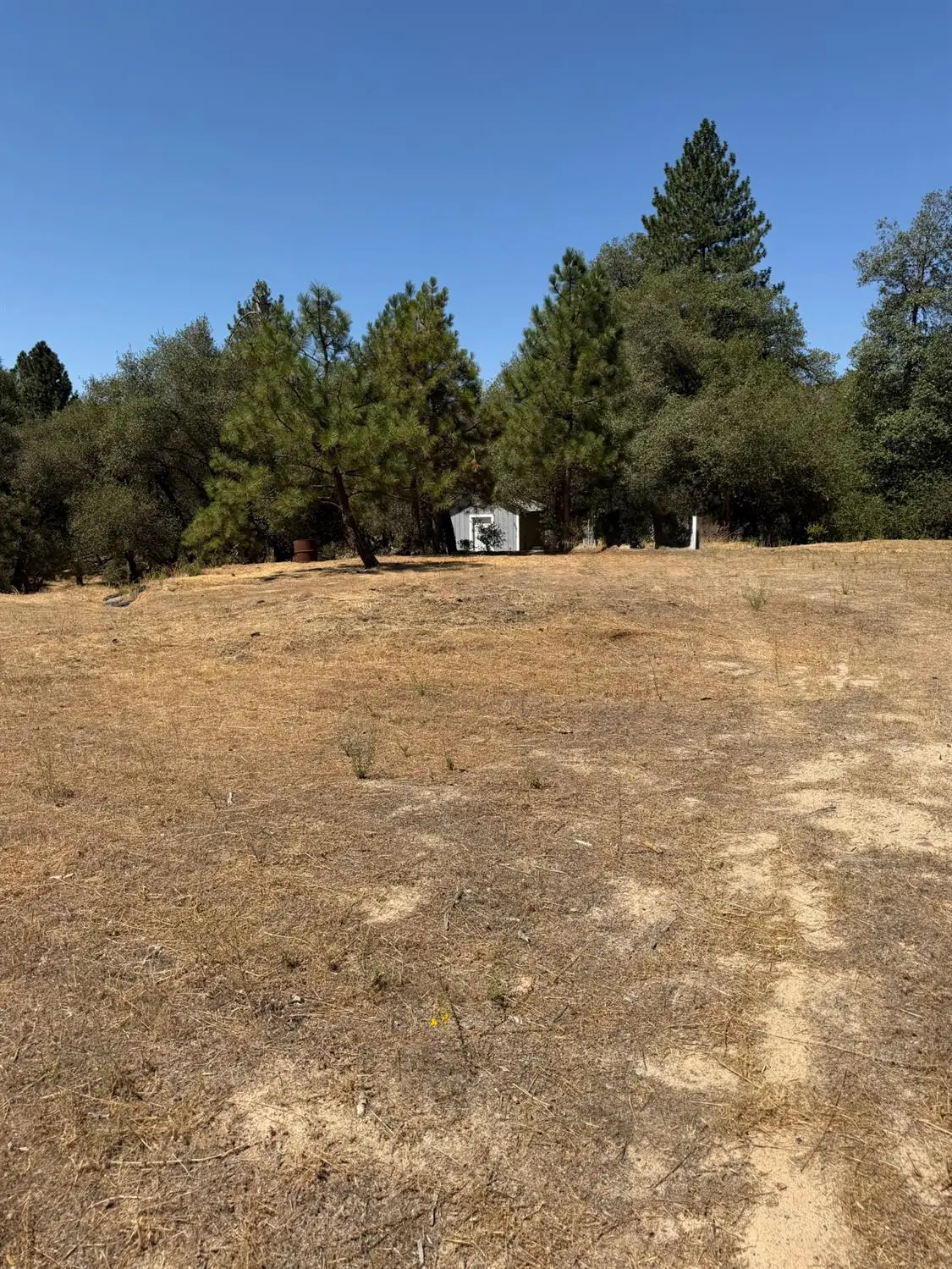 60 Klettes Pride Way, North Fork, CA 93643 - #1