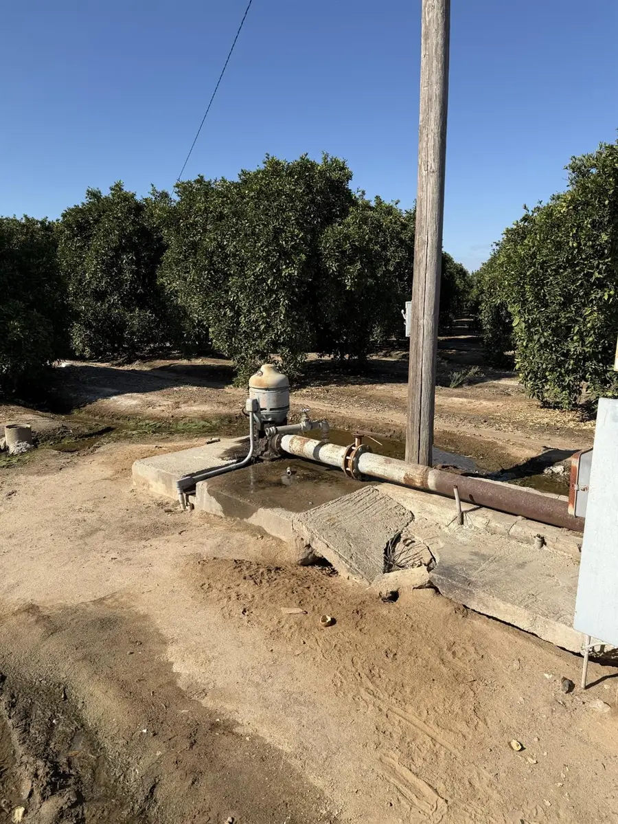 13331 E Belmont Avenue, Sanger, CA 93657 - #2