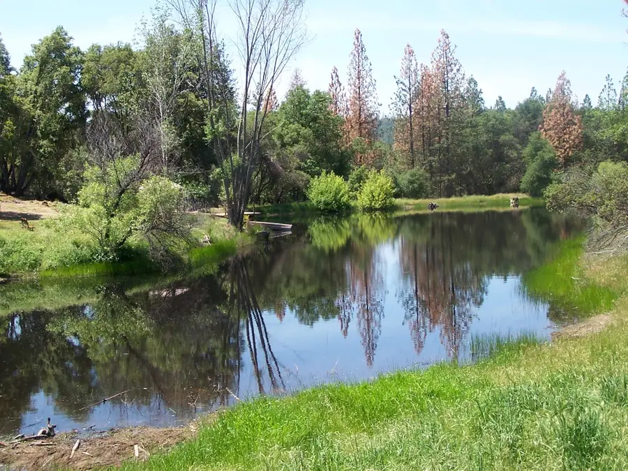 10 Rusty Ln, Oakhurst, CA 93644 - #2